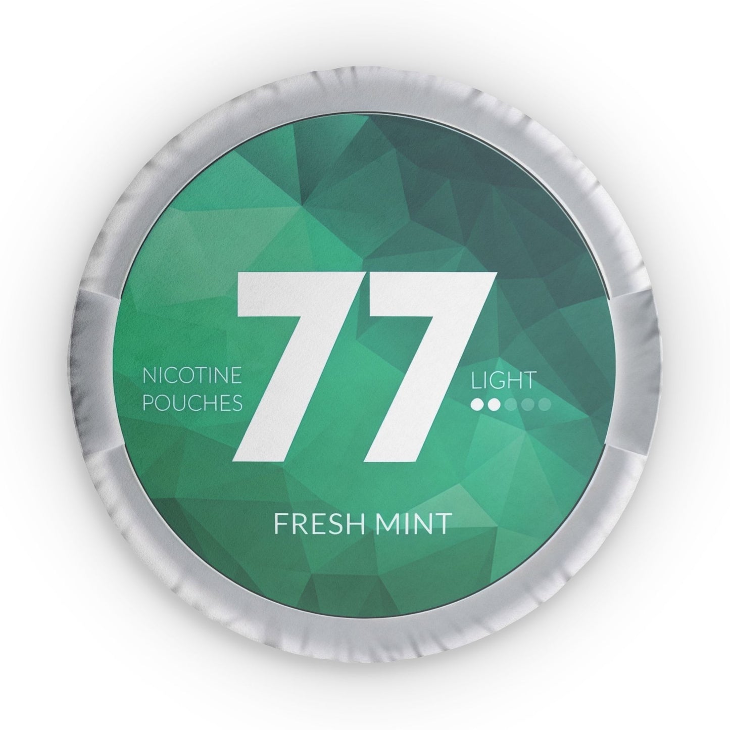 77 Fresh Mint Pillow