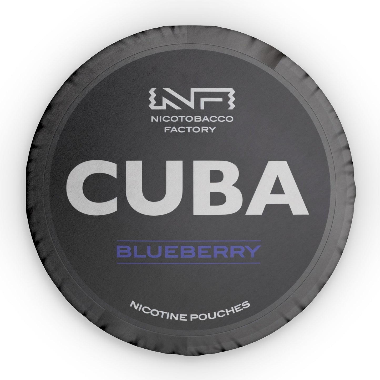 Cuba Blueberry Pillow