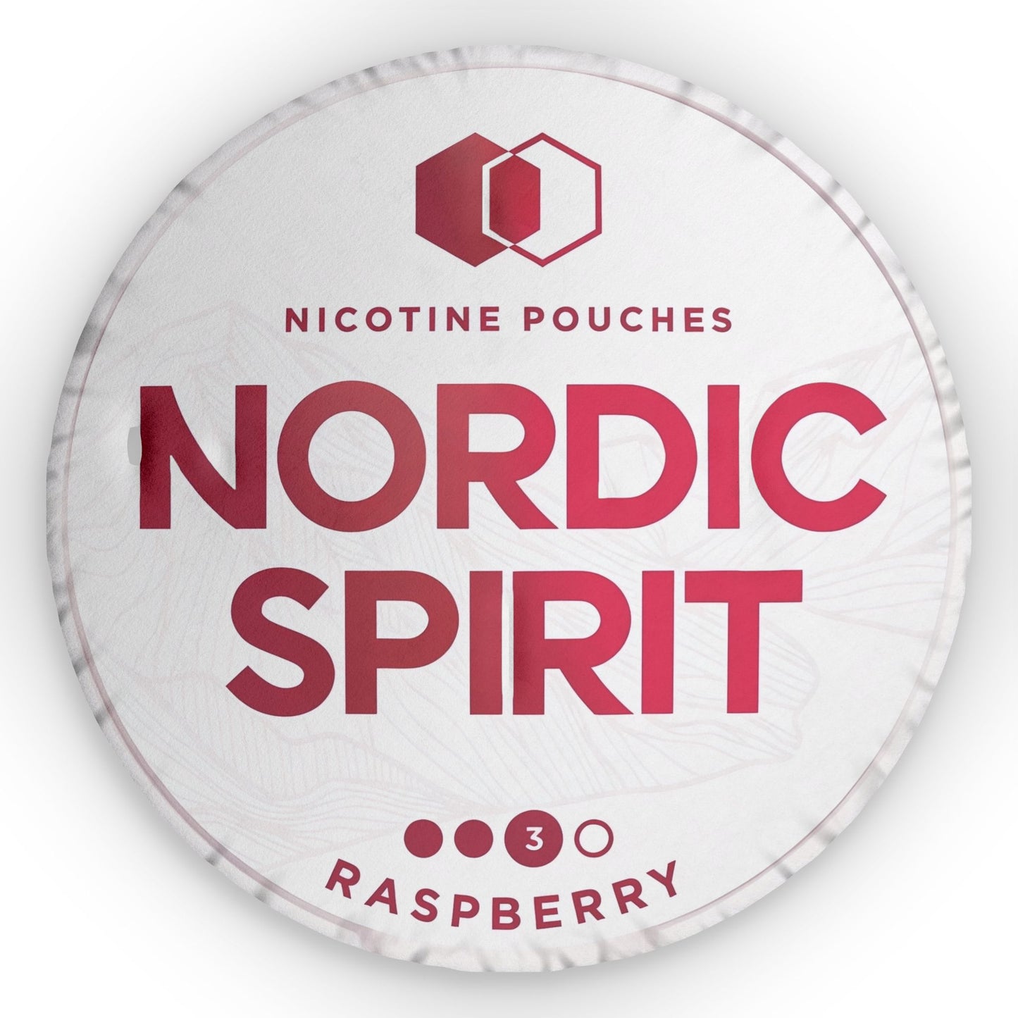 Nordic Spirit Raspberry Pillow