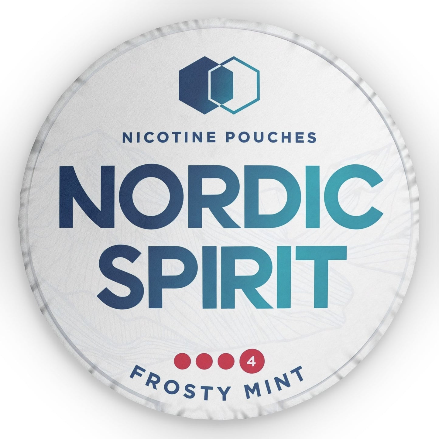 Nordic Spirit Frosty Mint Pillow