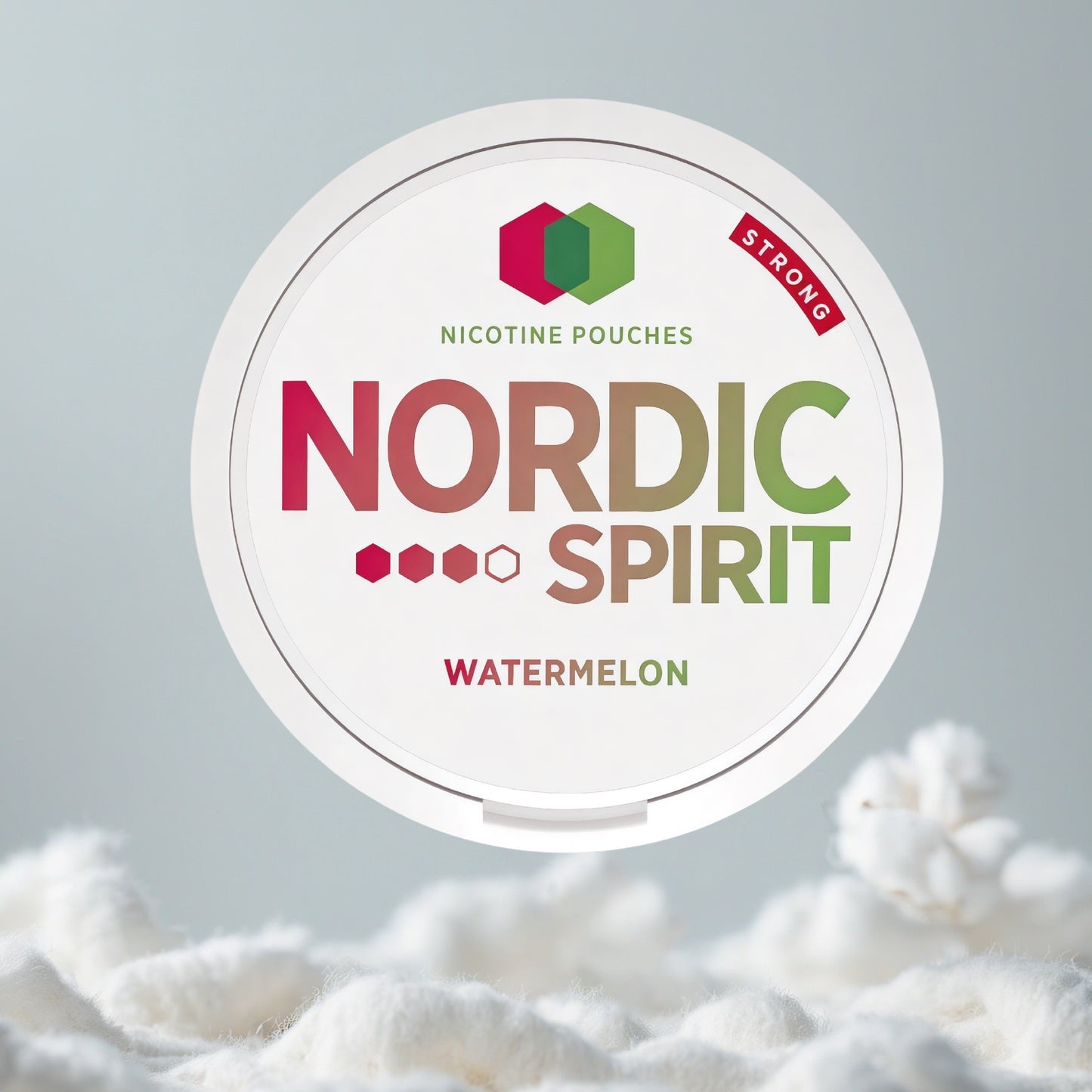 NORDIC SPIRIT Watermelon Pillow