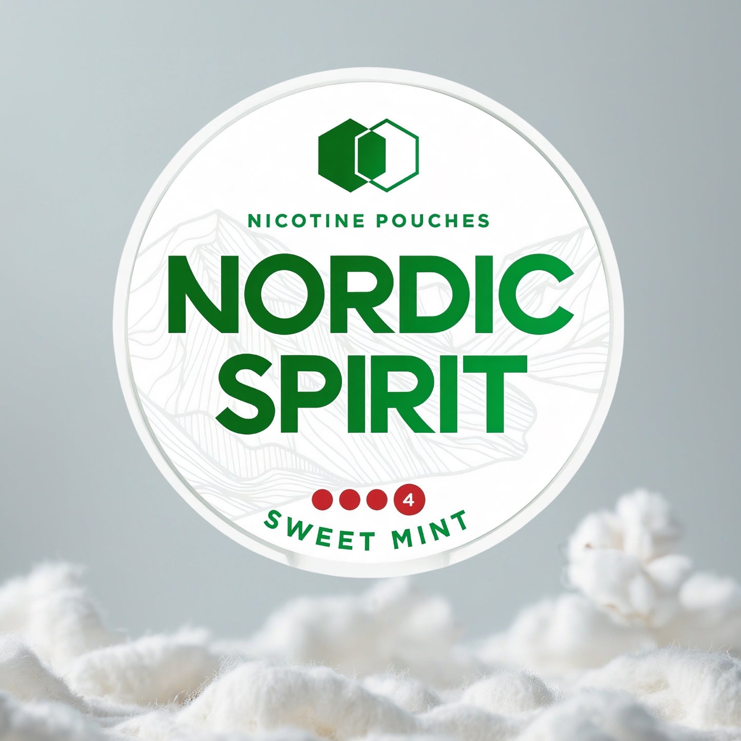 NORDIC SPIRIT Sweet Mint Pillow