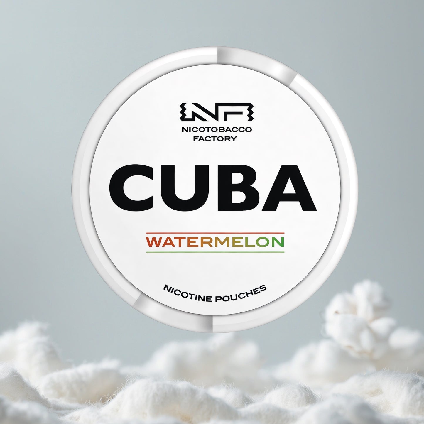 CUBA Watermelon Pillow