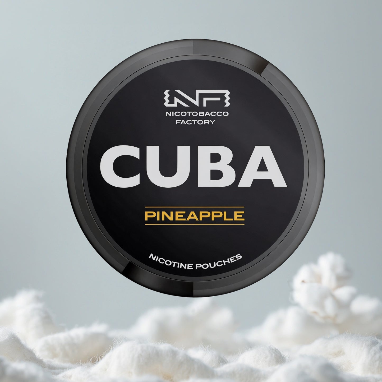 CUBA Pineapple Pillow