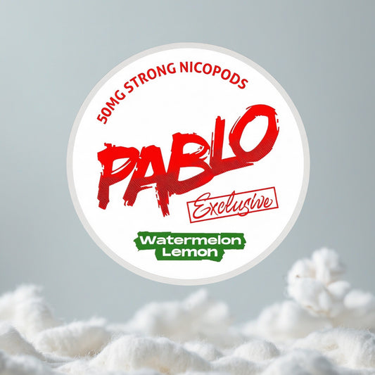 PABLO Watermelon Lemon Pillow