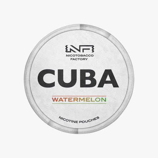 CUBA Watermelon Rug