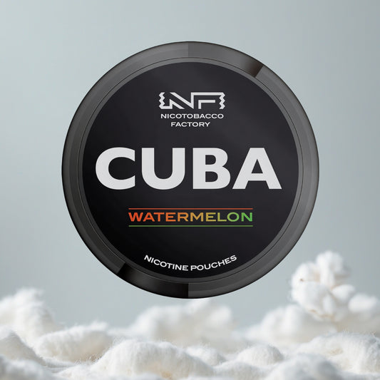 CUBA Watermelon Pillow