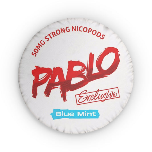 Pablo Blue Mint Pillow
