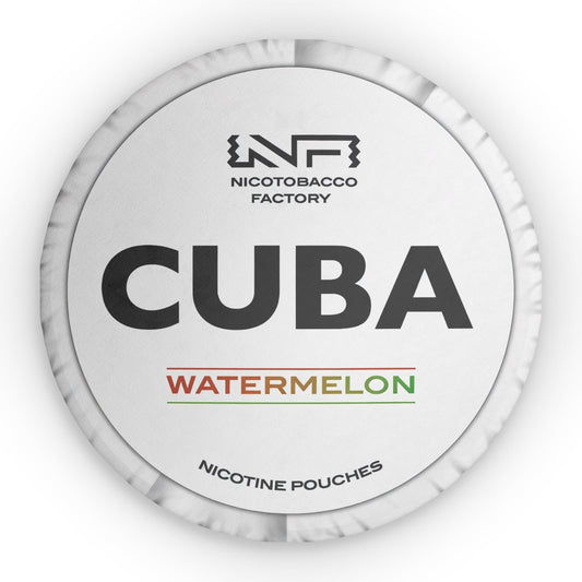 Cuba Watermelon Pillow