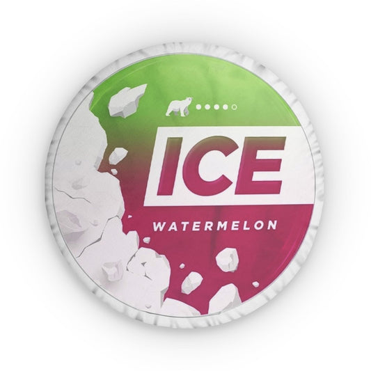 ICE Watermelon Pillow