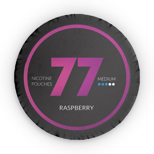 77 Raspberry Pillow