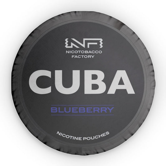 Cuba Blueberry Pillow