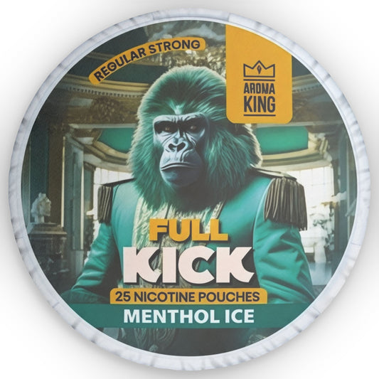 Aroma King Menthol Ice Pillow