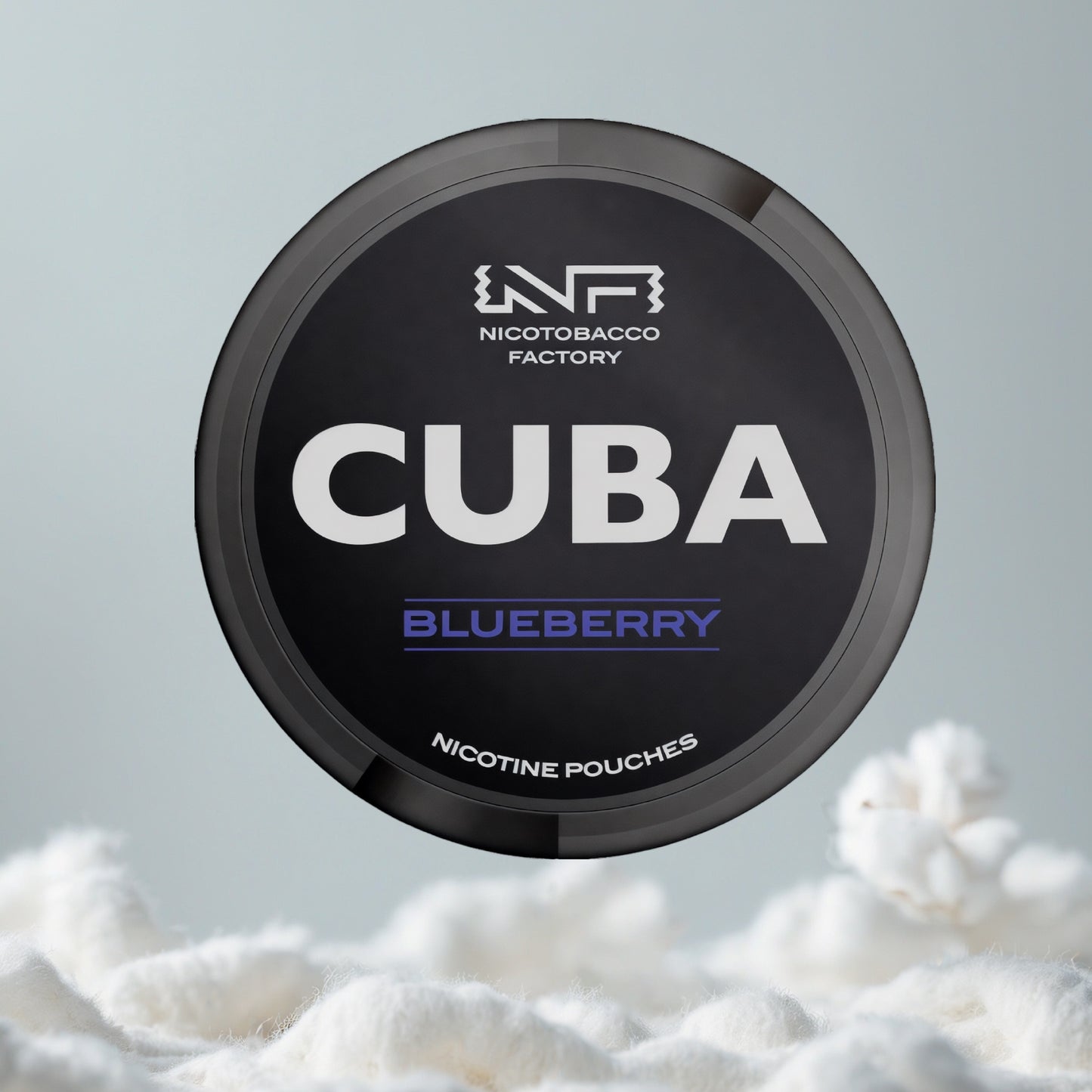 CUBA Blueberry Pillow