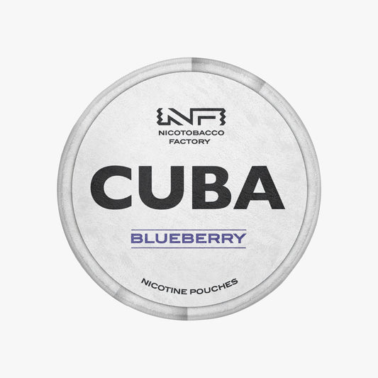 CUBA Blueberry Rug