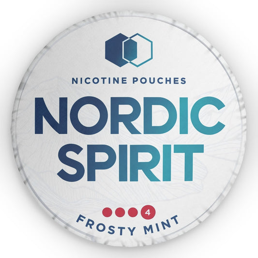 Nordic Spirit Frosty Mint Pillow