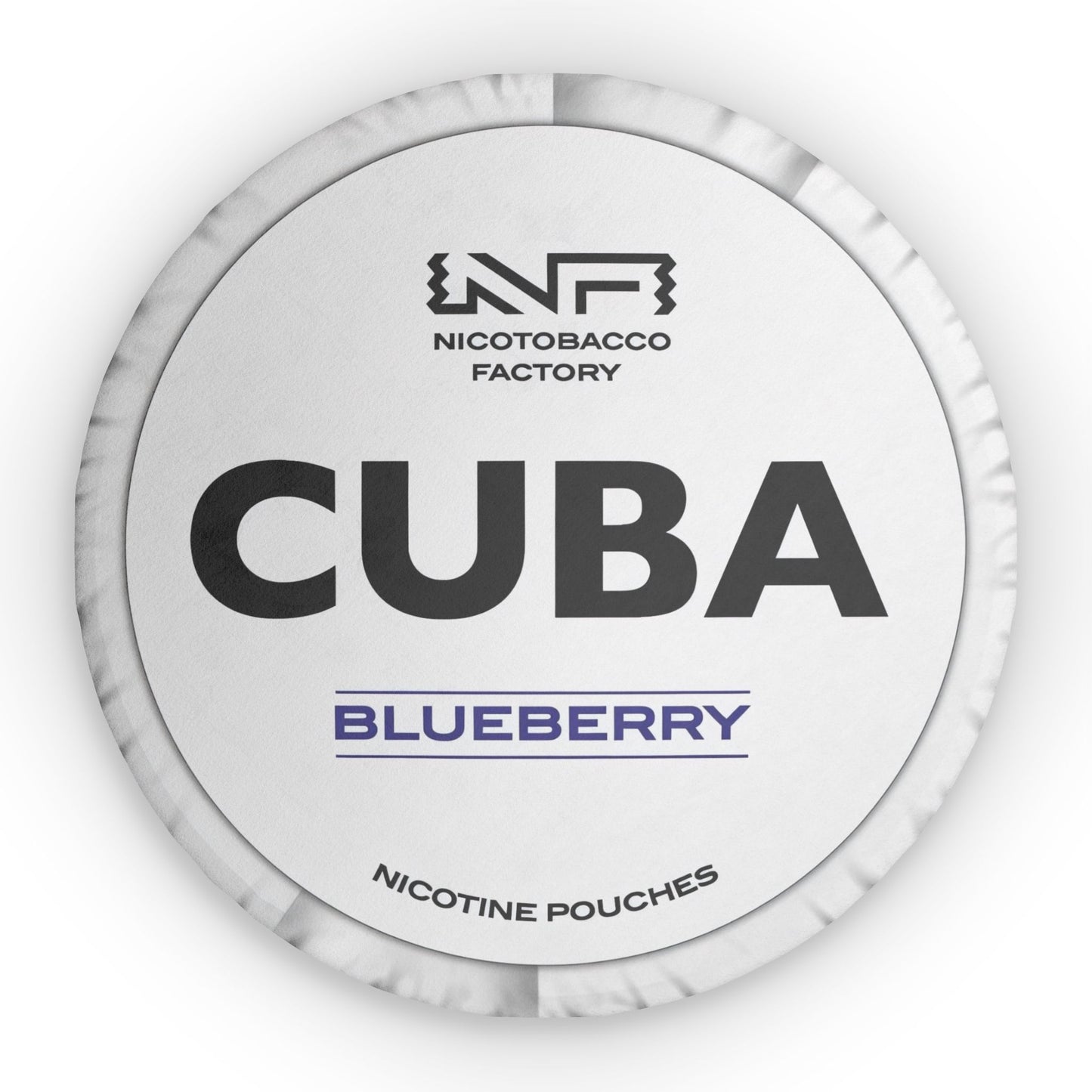 Cuba Blueberry Pillow