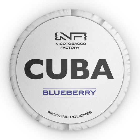 Cuba Blueberry Pillow