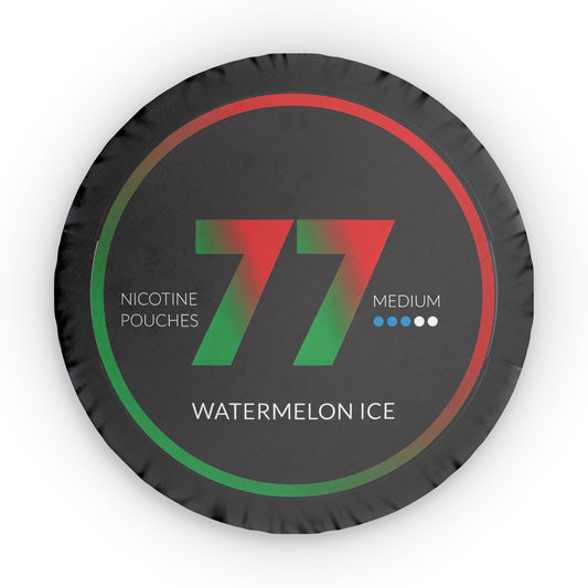 77 Watermelon Ice Pillow