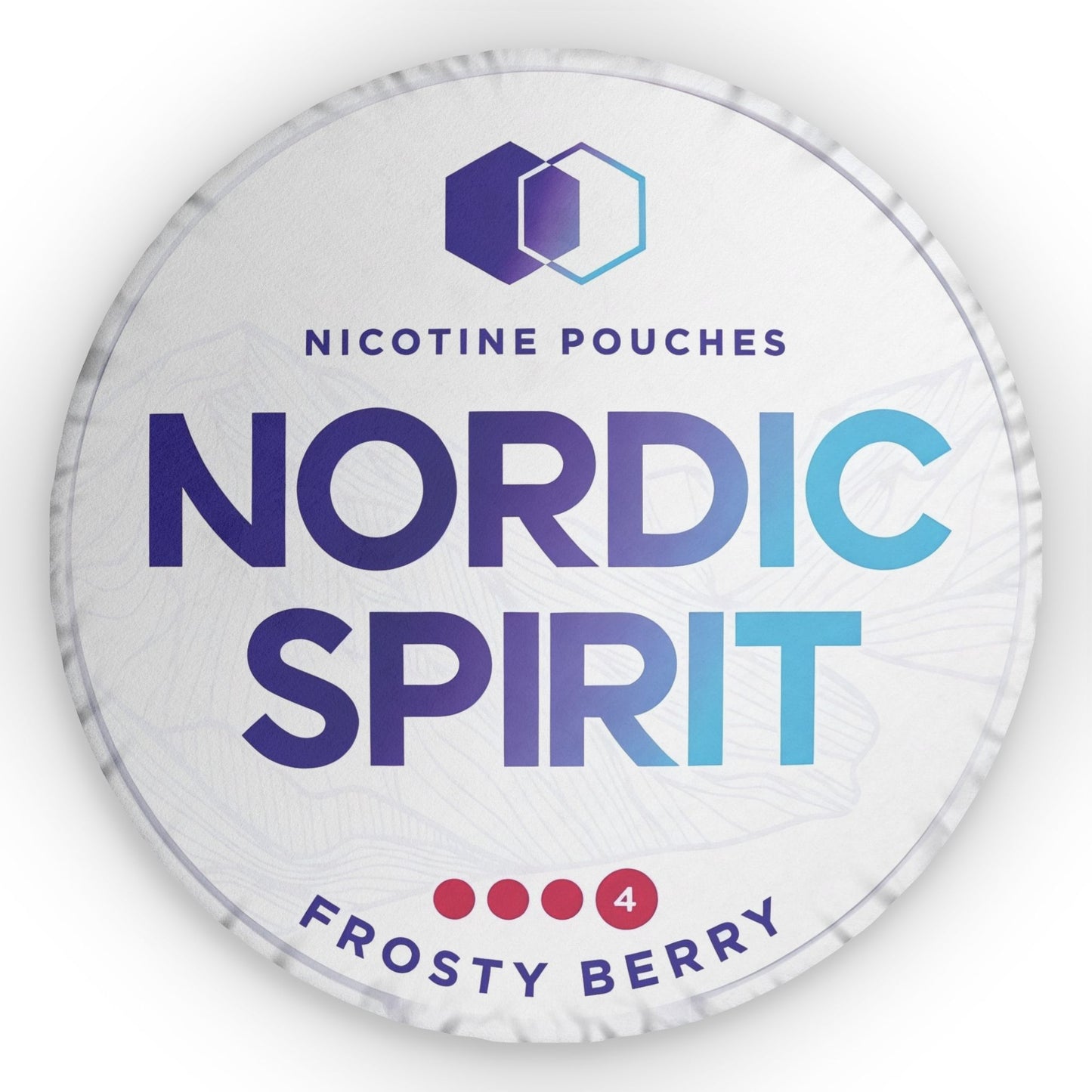 Nordic Spirit Frosty Berry Pillow