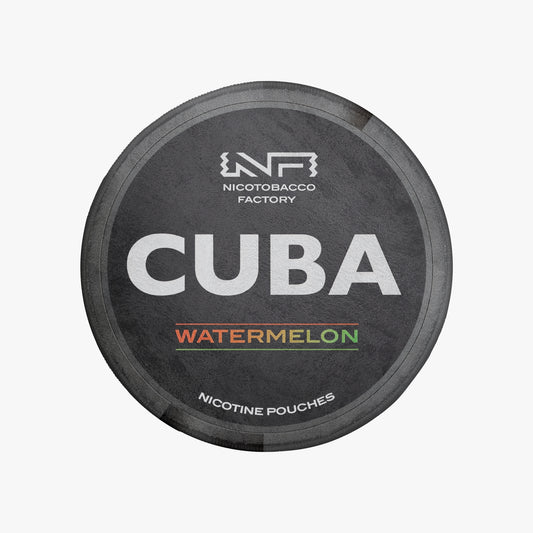 CUBA Watermelon Rug