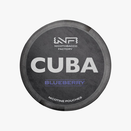 CUBA Blueberry Rug