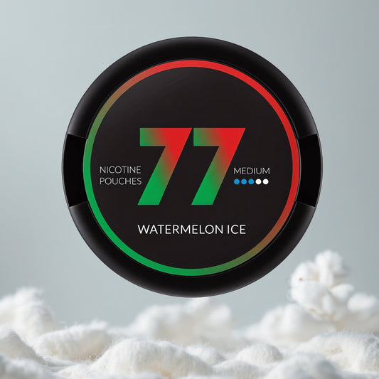 77 Watermelon Ice Pillow