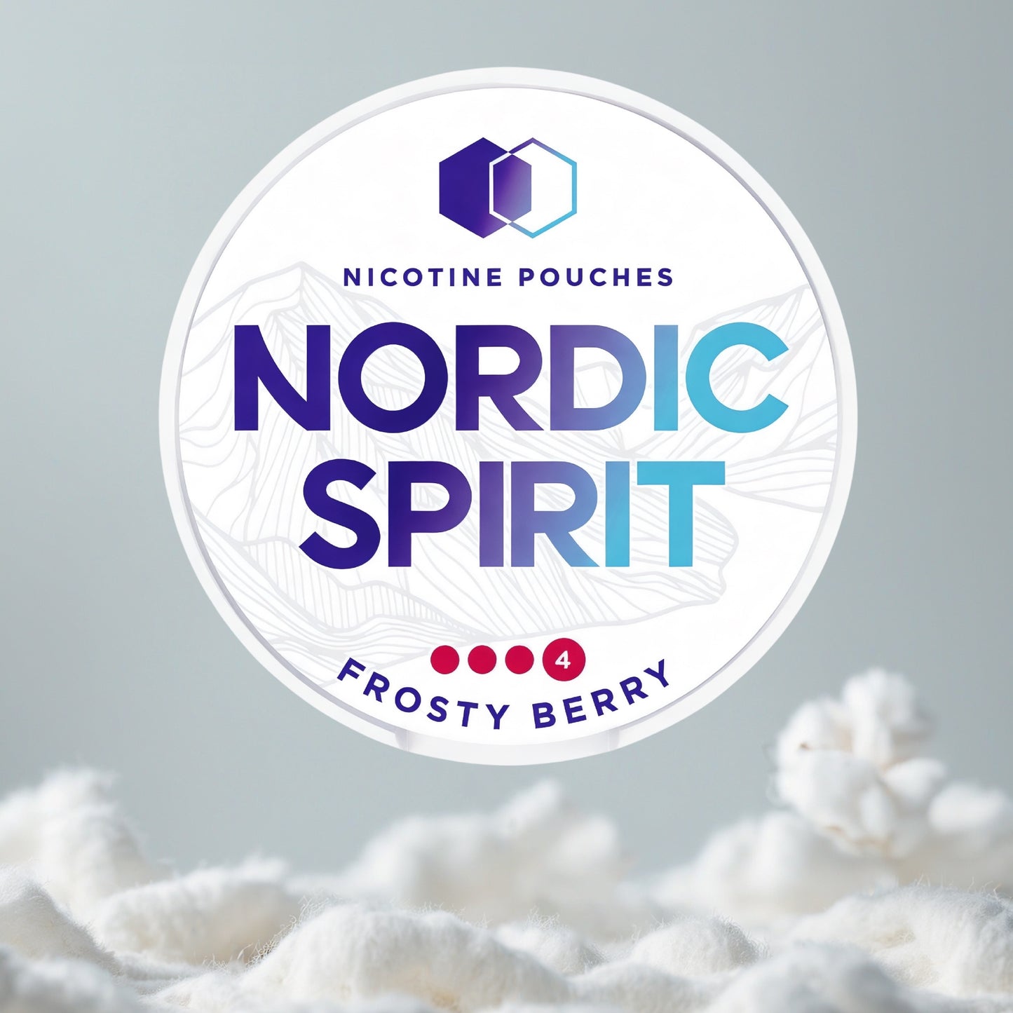 NORDIC SPIRIT Frosty Berry Pillow