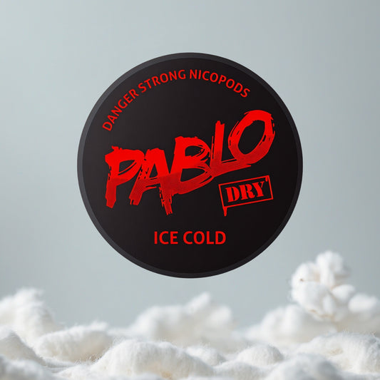 PABLO Dry Ice Cold Pillow