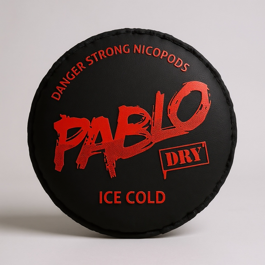 PABLO Dry Ice Cold Pillow