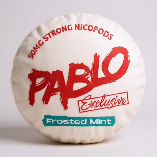 PABLO Frosted Mint Pillow