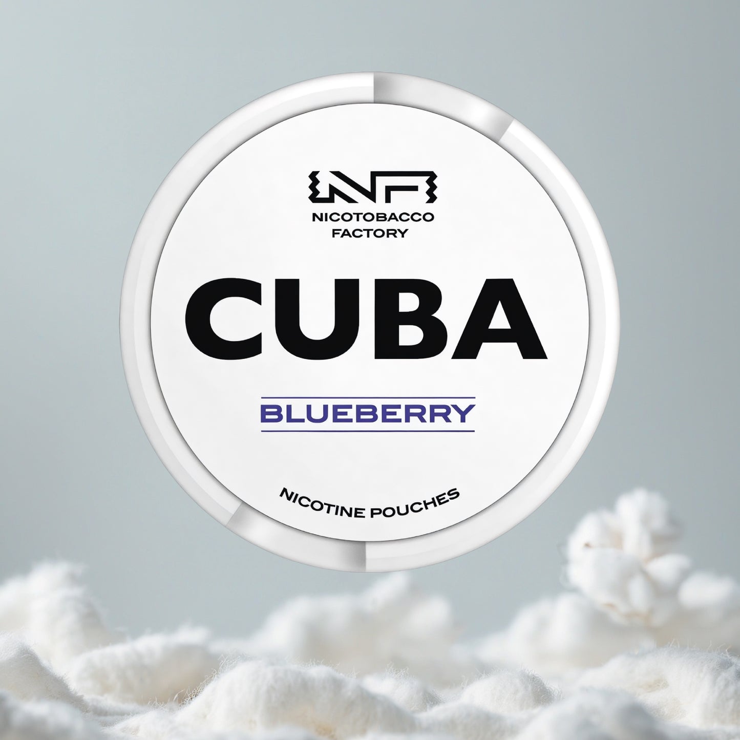 CUBA Blueberry Pillow
