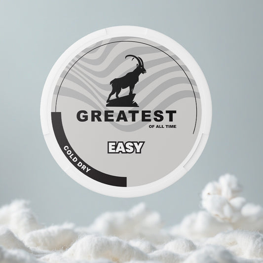 Greatest Easy Pillow