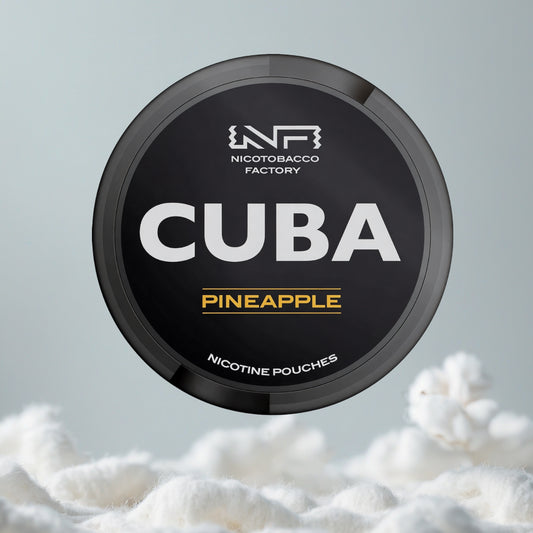 CUBA Pineapple Pillow