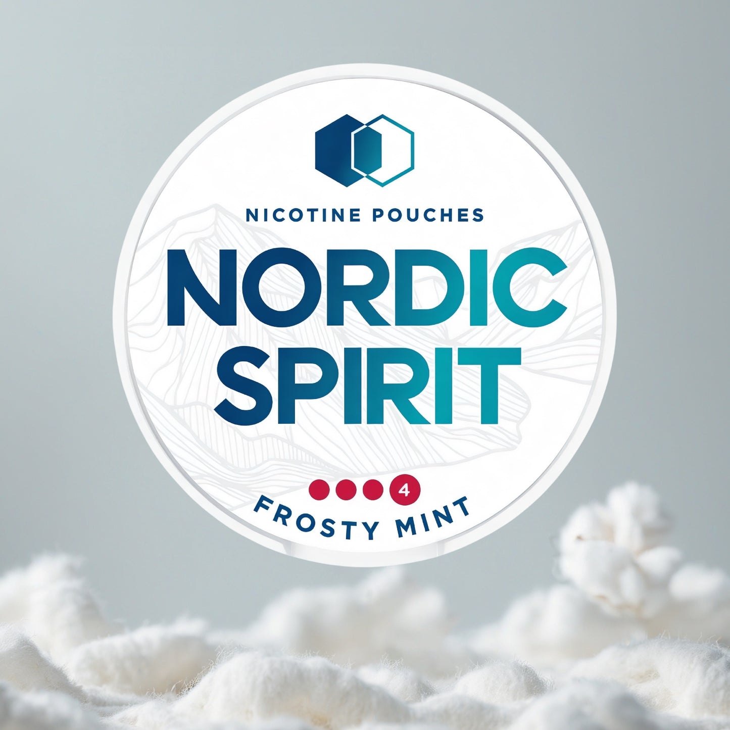 NORDIC SPIRIT Frosty Mint Pillow