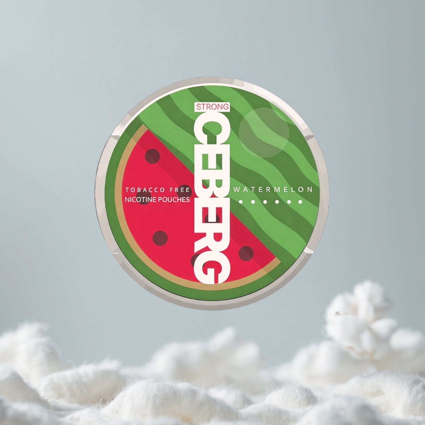 ICEBERG Watermelon Pillow